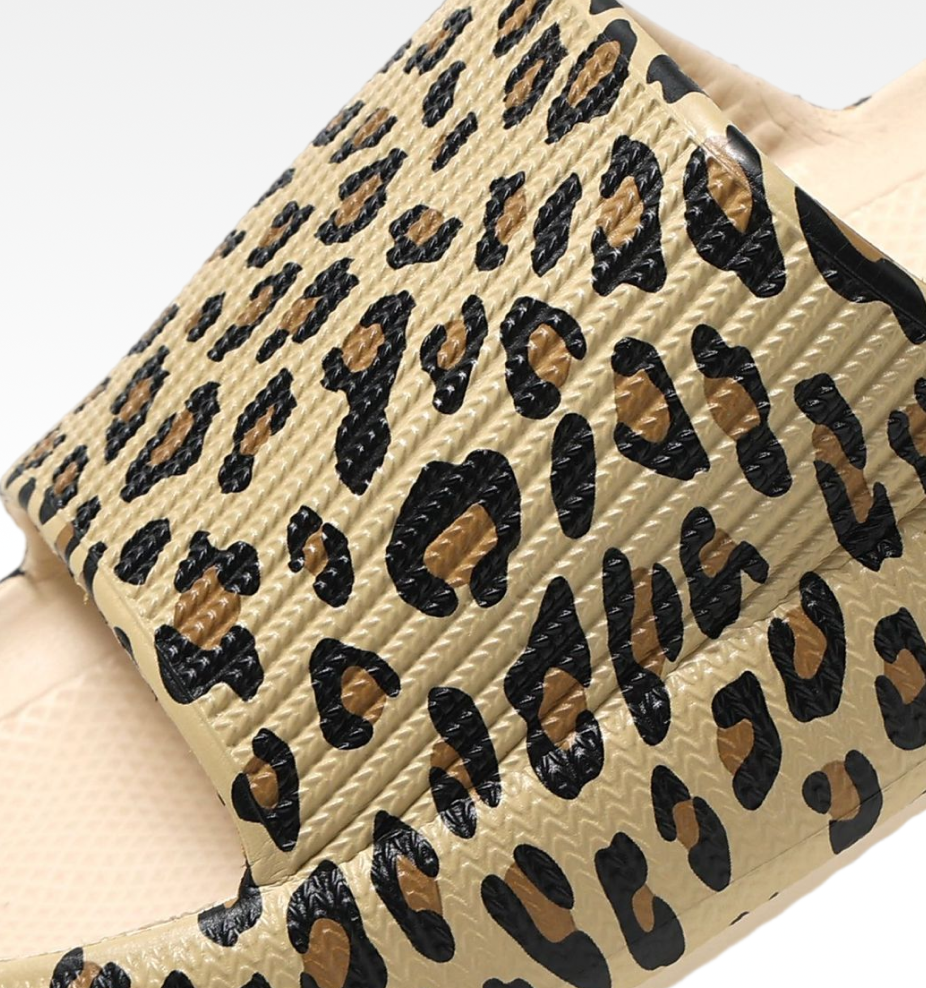 Leopard / 36/37