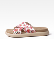 Blomma